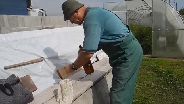 Как вырастить много белых грибов на своем участке смотреть онлайн