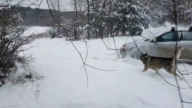 Subaru Impreza WRX STI 2004 snow fun смотреть онлайн