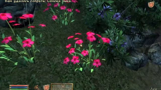 The Elder Scrolls IV Oblivion #1 смотреть онлайн