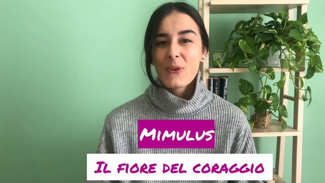 Ansia e stress: i rimedi naturali смотреть онлайн