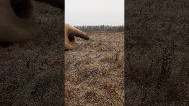 Плохая погода... стараемся закрыть сезон! смотреть онлайн