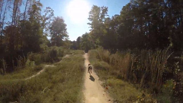 Riding with Luna the trail dog 10-21-21 best in 1080 or more смотреть онлайн