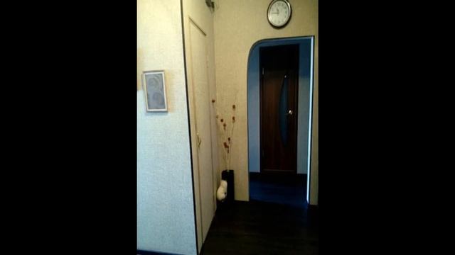 3к Каслинская, 19б смотреть онлайн