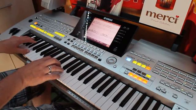 2017 The Kelly Family   Fell In Love With An Alien Cover