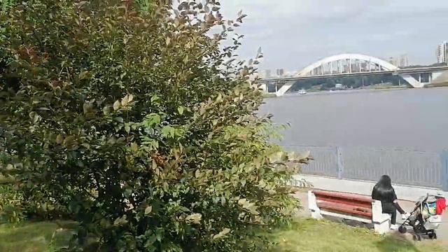 Набережная, канал, химки смотреть онлайн