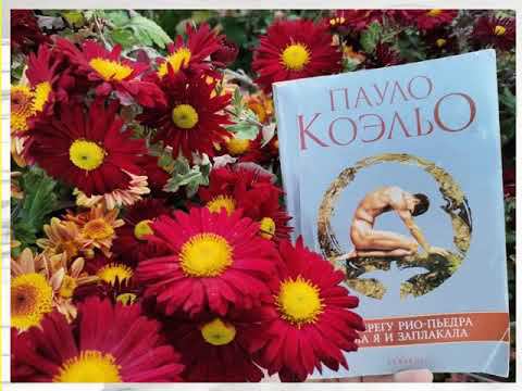 Все работы участников акции "Каникулы с любимой книгой" смотреть онлайн