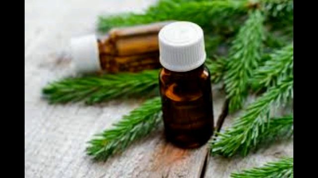 Секреты Профессионального Творца