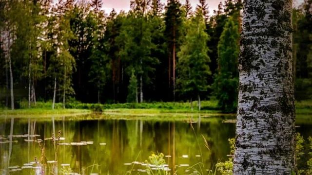 Русский рок-н-ролл