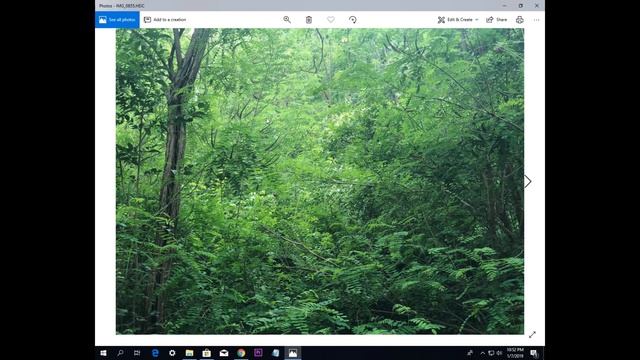 How to Open iPhone Photos and Videos on Windows 10 (HEIC, HEIF, HEVC FORMAT) смотреть онлайн