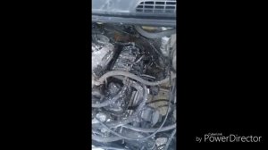 Не заводится газель. Двигатель 4216.Причина проста