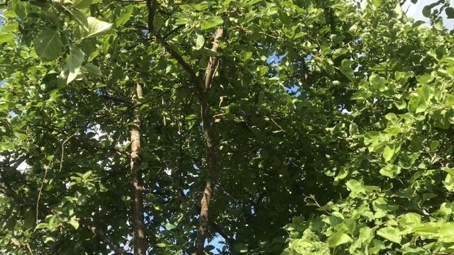 Обзор деревни. Простая счастливая жизнь на своей земле.