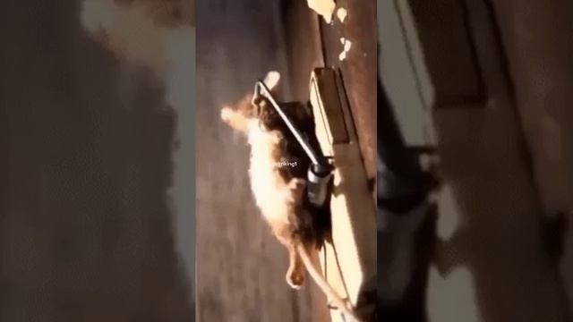 i смотреть онлайн