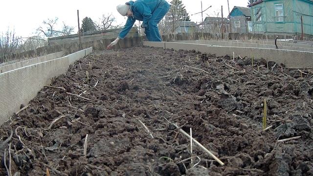 ЧЕСНОК ВЗОШЕЛ / СНИМАЕМ ГРУНТ У ВЪЕЗДА смотреть онлайн