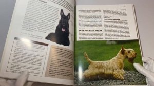 Все породы собак. Большая иллюстрированная энциклопедия