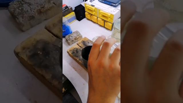 обручальные кольца смотреть онлайн