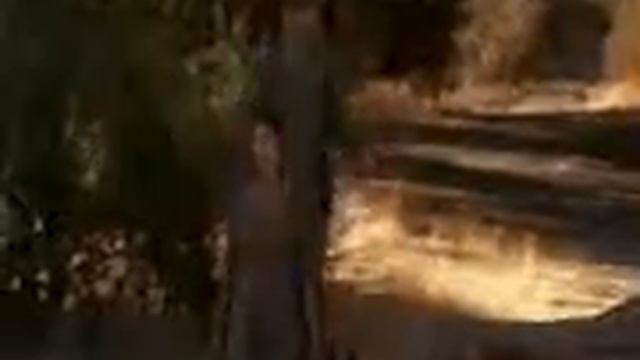 Стерлинг Найт