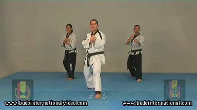 HAPKIDO. HAPKIDO TECHNIQUES. SPANISH FEDEREATION