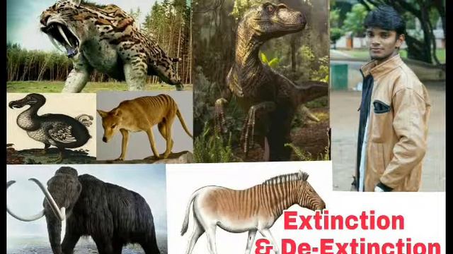 Extinction and De-Extinction смотреть онлайн