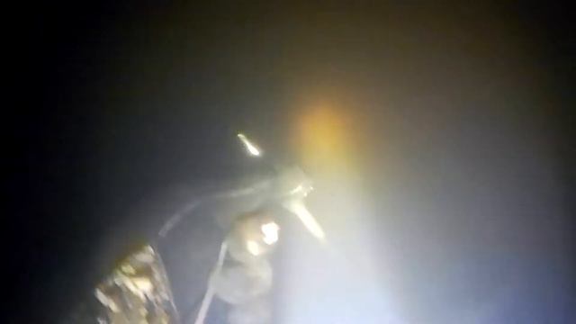 Подводная охота 14.04.2019 год. (канальные сомы) смотреть онлайн