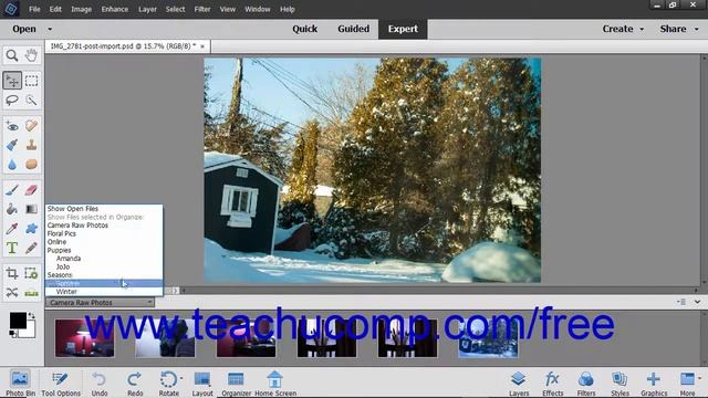 Photoshop Elements 2019 Tutorial The Photo Bin Adobe Training смотреть онлайн