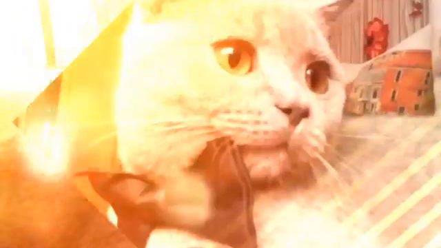 Кот Кузя!Котик,милашка! Я его очень люблю! смотреть онлайн