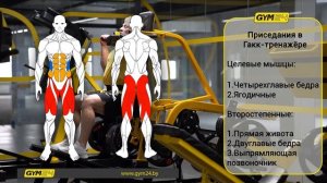 Программа тренировки для мужчин 3 раза в неделю