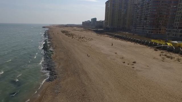 Берег моря, канализация и наглые чайки смотреть онлайн