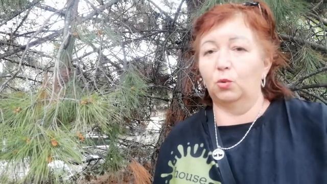 Как матери сделать из мальчика мужчину смотреть онлайн