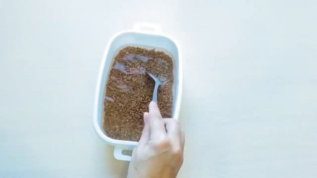 Рецепты Десертов