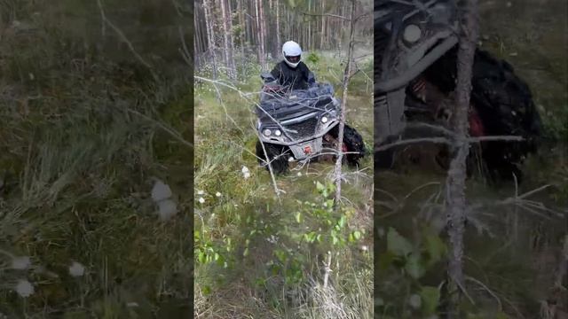 Квадроцикл одес едет по болоту, шины Wild Thang 28 смотреть онлайн