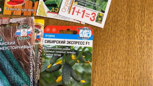 17 мая Огурцы все высажены смотреть онлайн