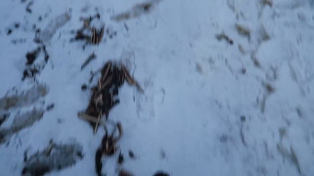 Вечер с ребятами 🌊 у Жени с Бари любовь 💞 Как у нас обстановка? смотреть онлайн