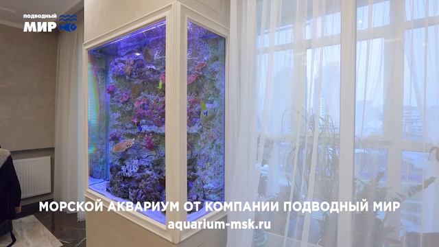 ? Эксклюзивный морской угловой аквариум смотреть онлайн