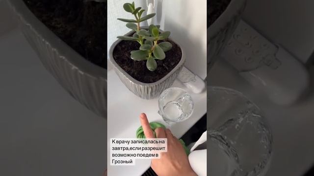 ЗАВТРА МЫ ПОЛЕТИМ ? НАША КВАРТИРА ПОЧТИ ГОТОВА ? смотреть онлайн