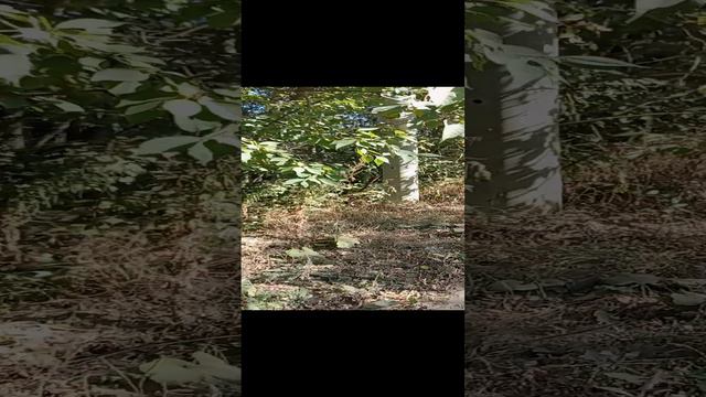 Эээххххх смотреть онлайн