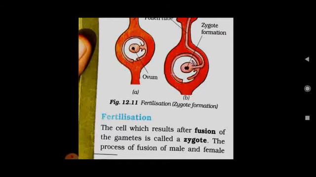 Class 7th Science смотреть онлайн