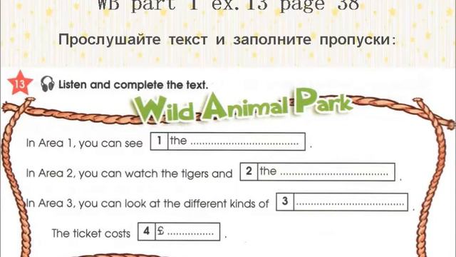 Get it right! Starlight 4 класс часть 1 WorkBook упр.13 стр.38 смотреть онлайн