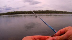 ТОП-5 Приманок для Ловли Окуня На Отводной Поводок. Ловля На Отводной Поводок Весной.