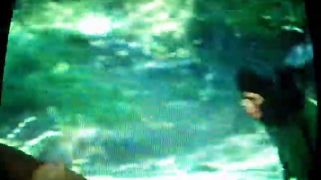 Псинка (суть взглядов). смотреть онлайн