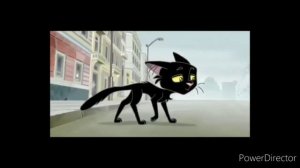 Жил, да был черный кот