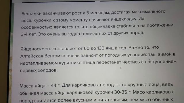 Бентамка Алтайская занеслась))) ура! смотреть онлайн