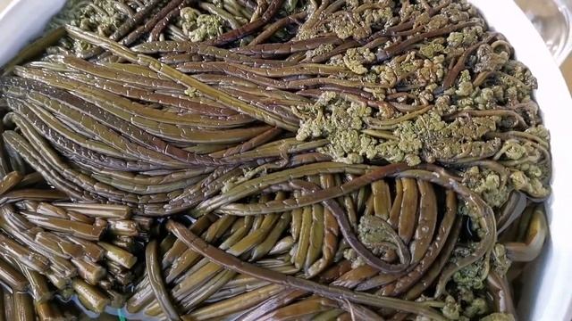 Папоротник солёный для кулинарии смотреть онлайн