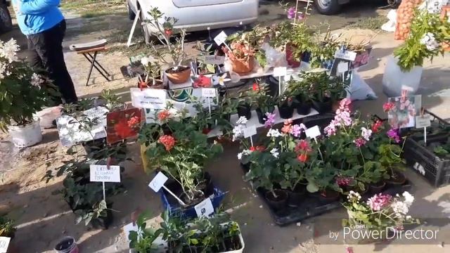 Первый морозец, еду на ярмарку и мои подарочки ))) смотреть онлайн