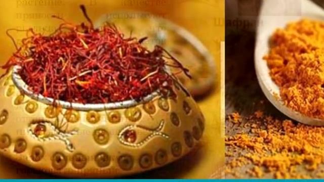 Крокусы Krokus уход и размножение. Шафран лечебные свойства. Лекарственные растения дома