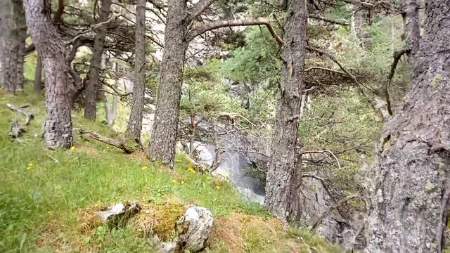 Прогулка в каньон реки Карасу (В.Балкария). смотреть онлайн