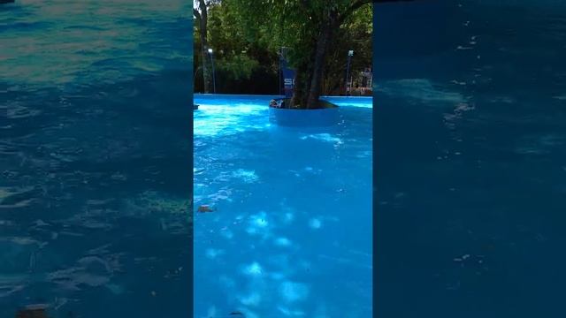ПОЛИЦИЯ ЕЗДИТ НА ГИДРОЦИКЛЕ. смотреть онлайн