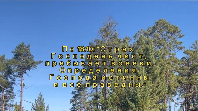 Пусть слова моих уст смотреть онлайн
