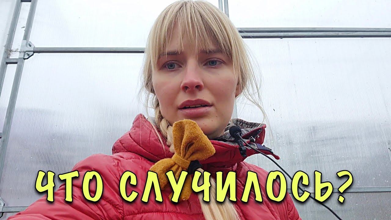 ЧТО СЛУЧИЛОСЬ? Почему НЕТ РОЛИКОВ? Что БУДЕТ ДАЛЬШЕ? смотреть онлайн