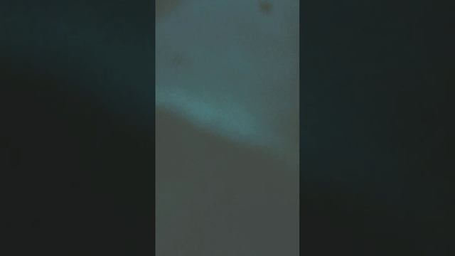 я с сестрой Дианой пела песню?? смотреть онлайн