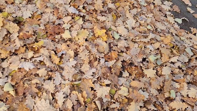 Осенняя мистика. смотреть онлайн